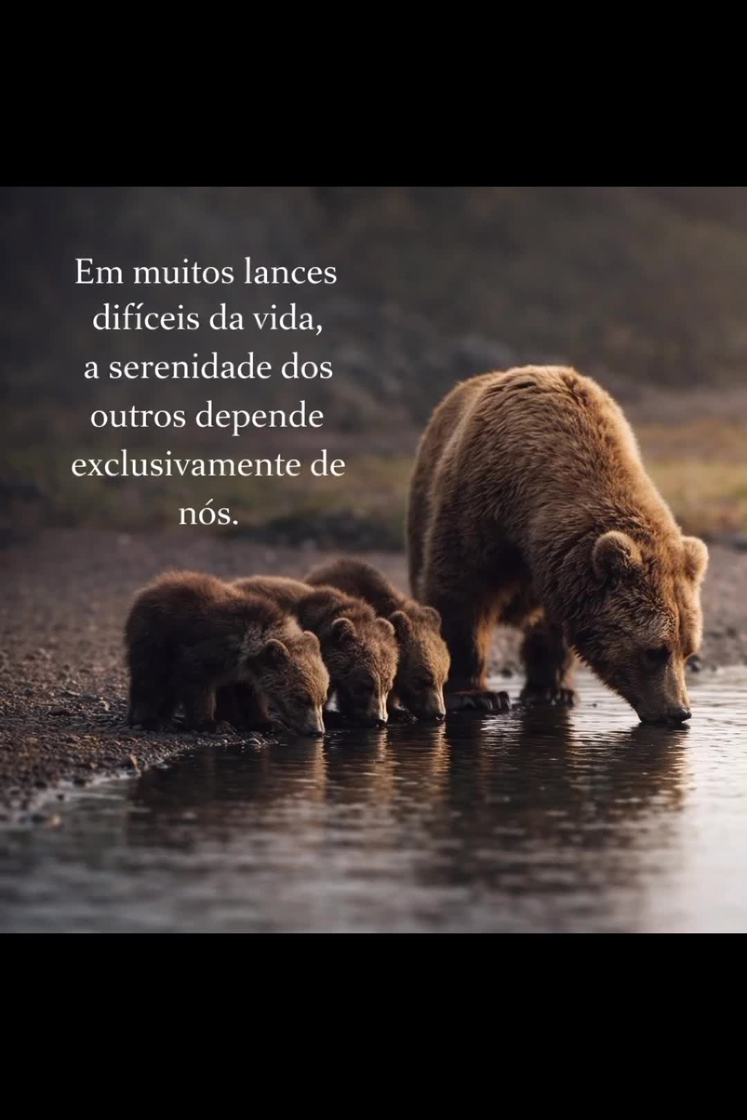 @MENTE POSITIVE