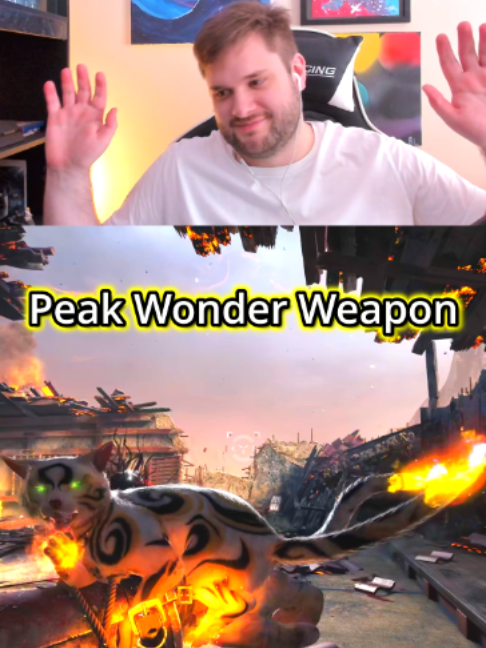@WOLFO911