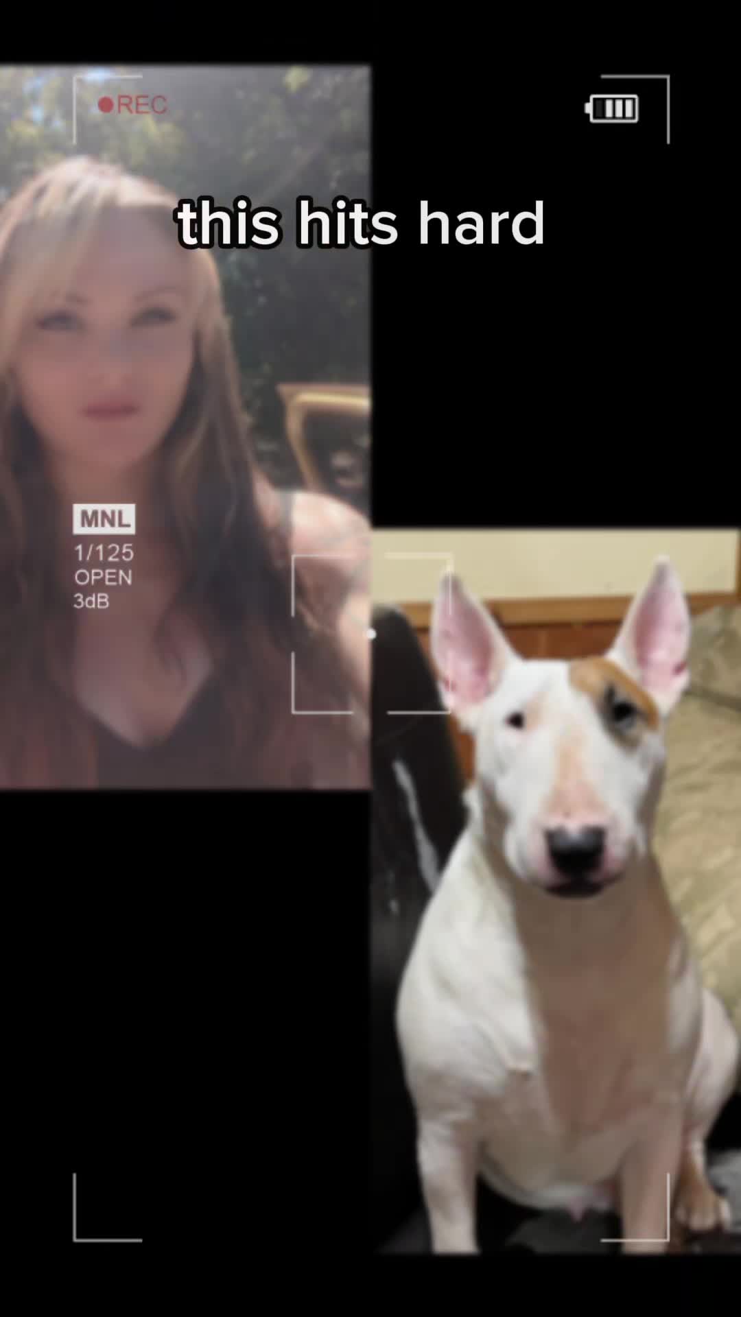 @jessibarbiesbullterrier