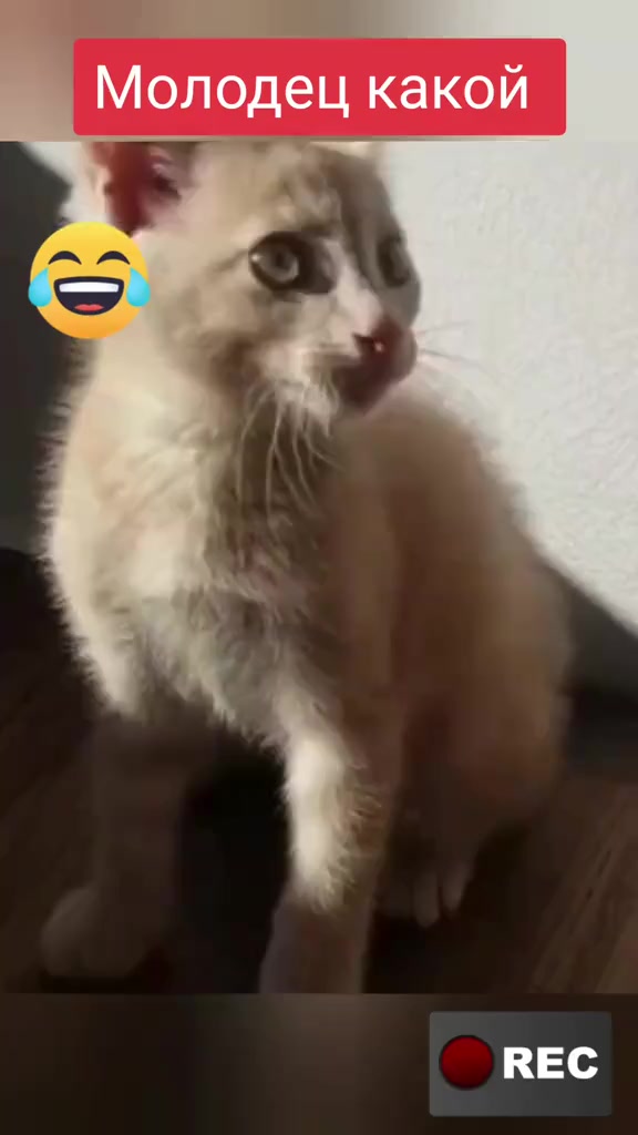 @Лариса
