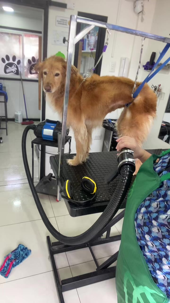 @Gran.kniche🐶