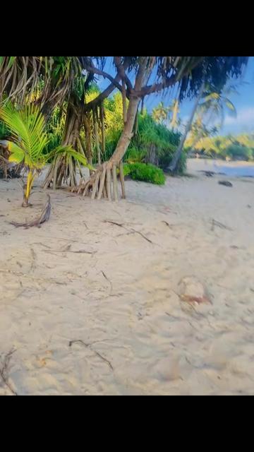 @MR.මැණික්