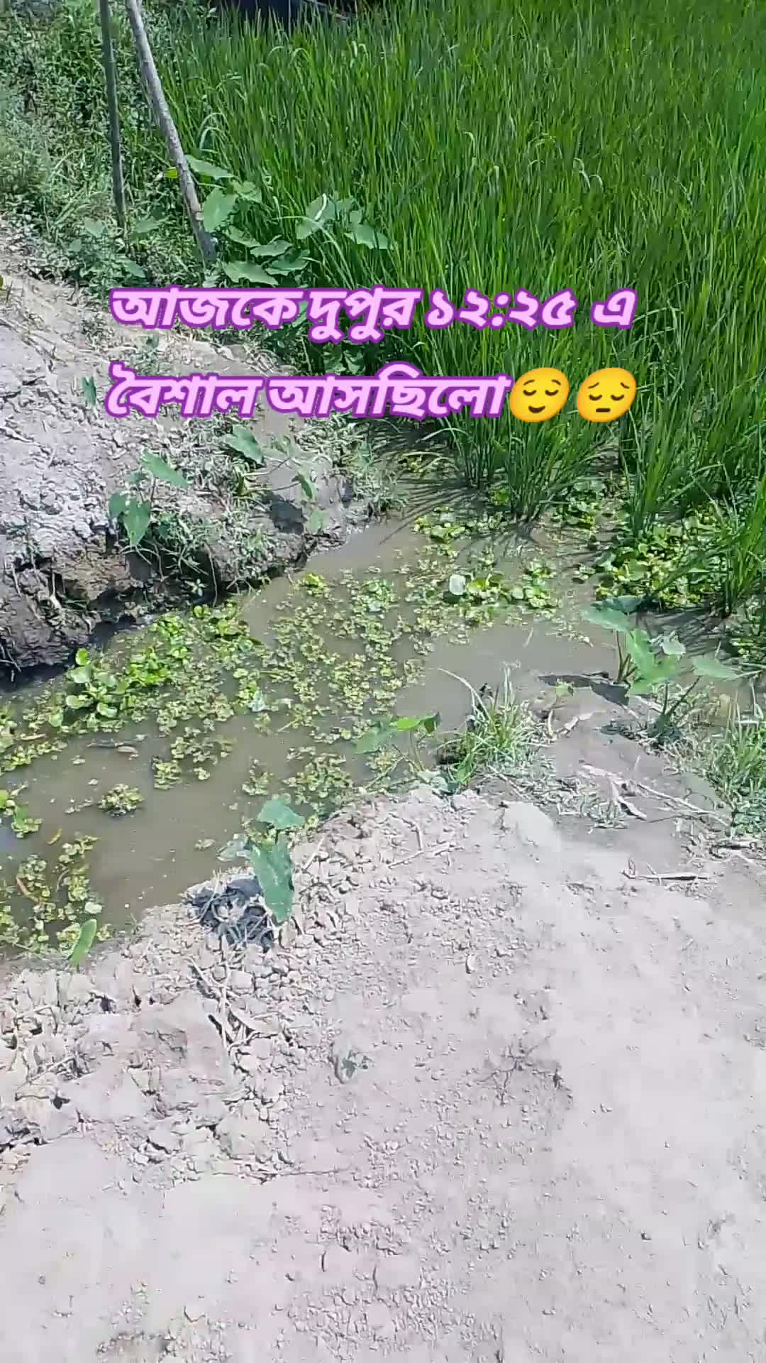 @𝗠𝗗. 𝗕𝗨𝗥𝗛𝗔𝗡..⛎