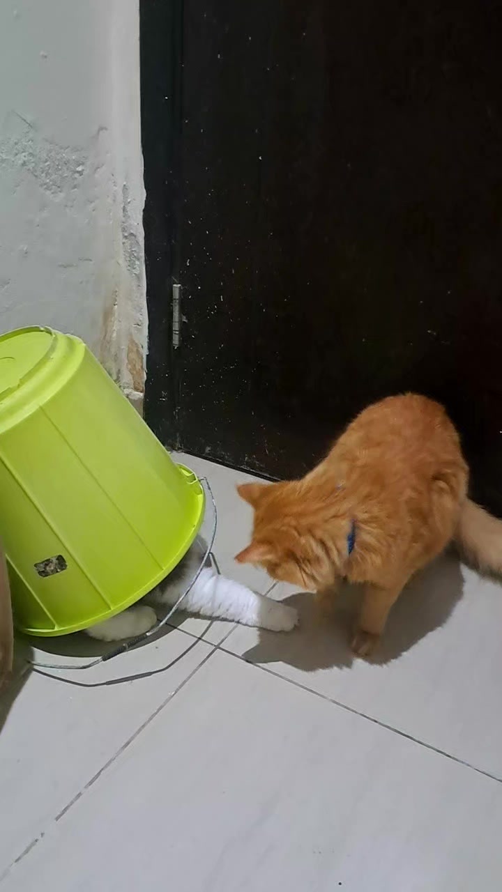 @JM🫦😻