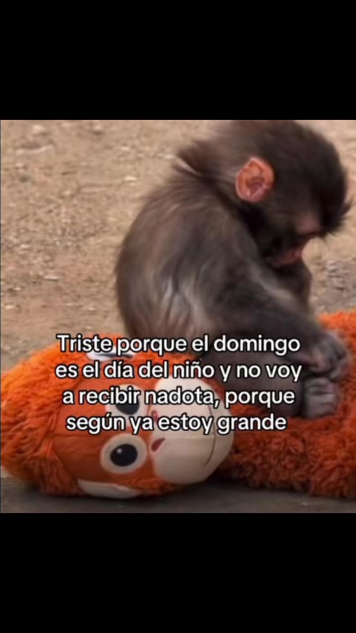 @Compartidos_6