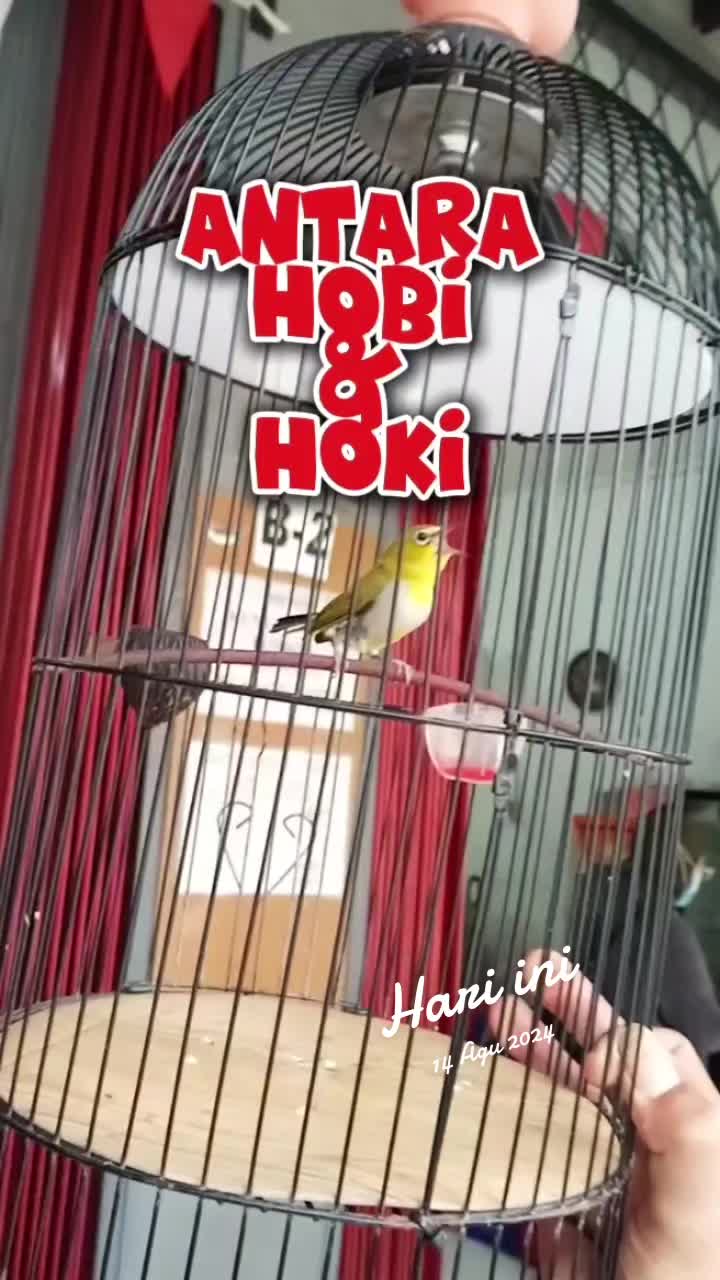 @totalbukpar