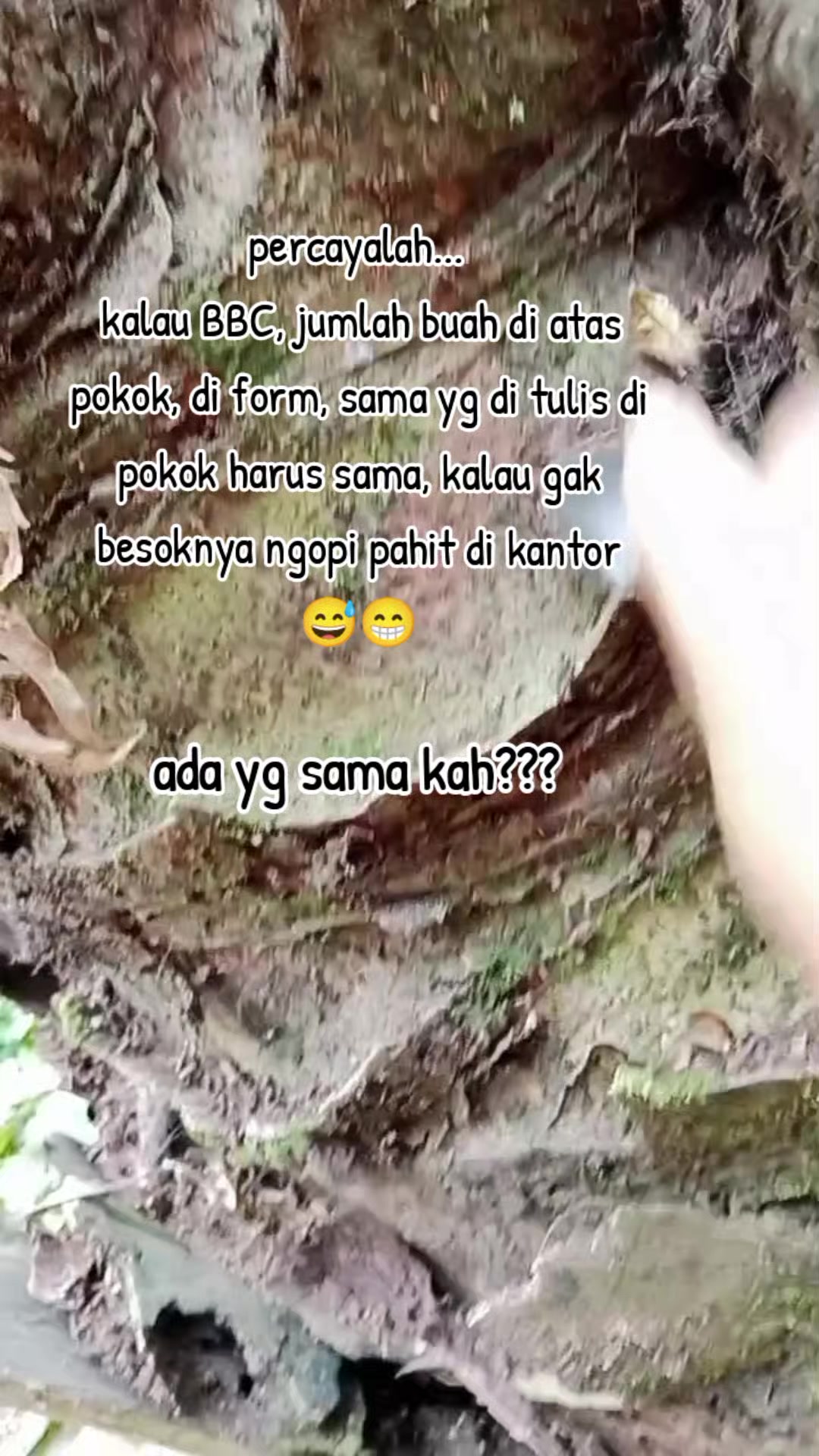@Daryani yani