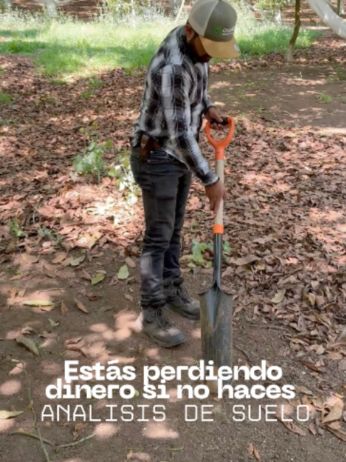 @Gera Cervantes