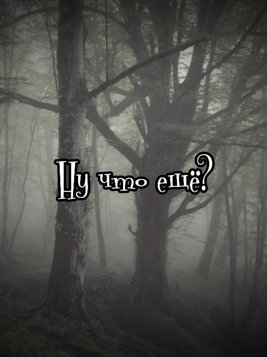 @@мфета_М#новая51