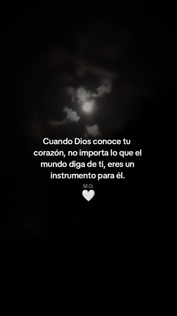 @Maya Ortiz