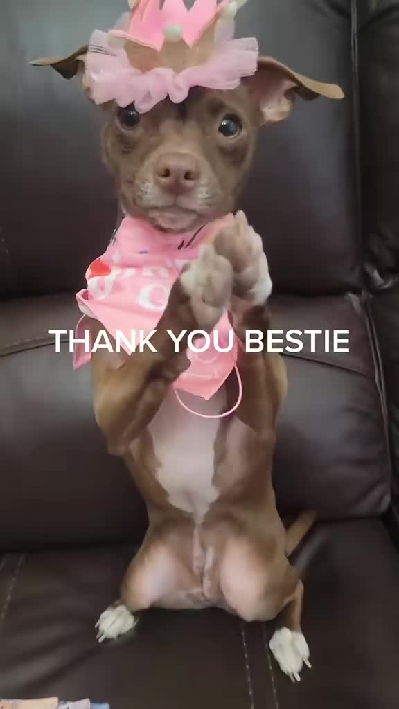 @DAISY MAY