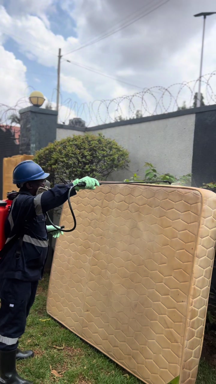@Oraan Fumigation 🇺🇬