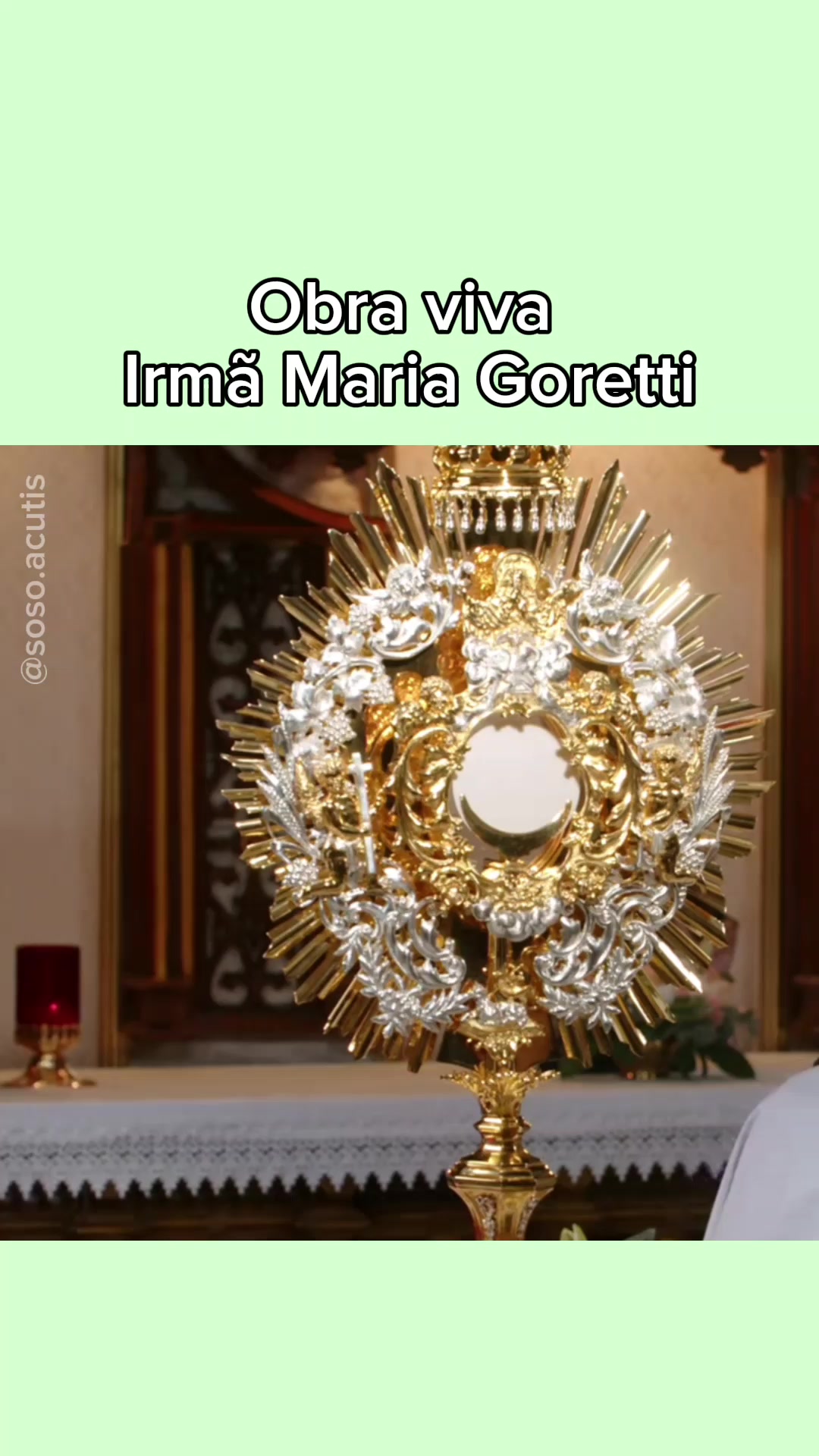 @Soso.Acutis🇻🇦