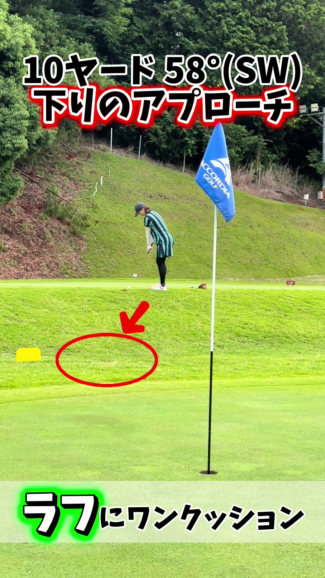 @N_N GOLF ACADEMY