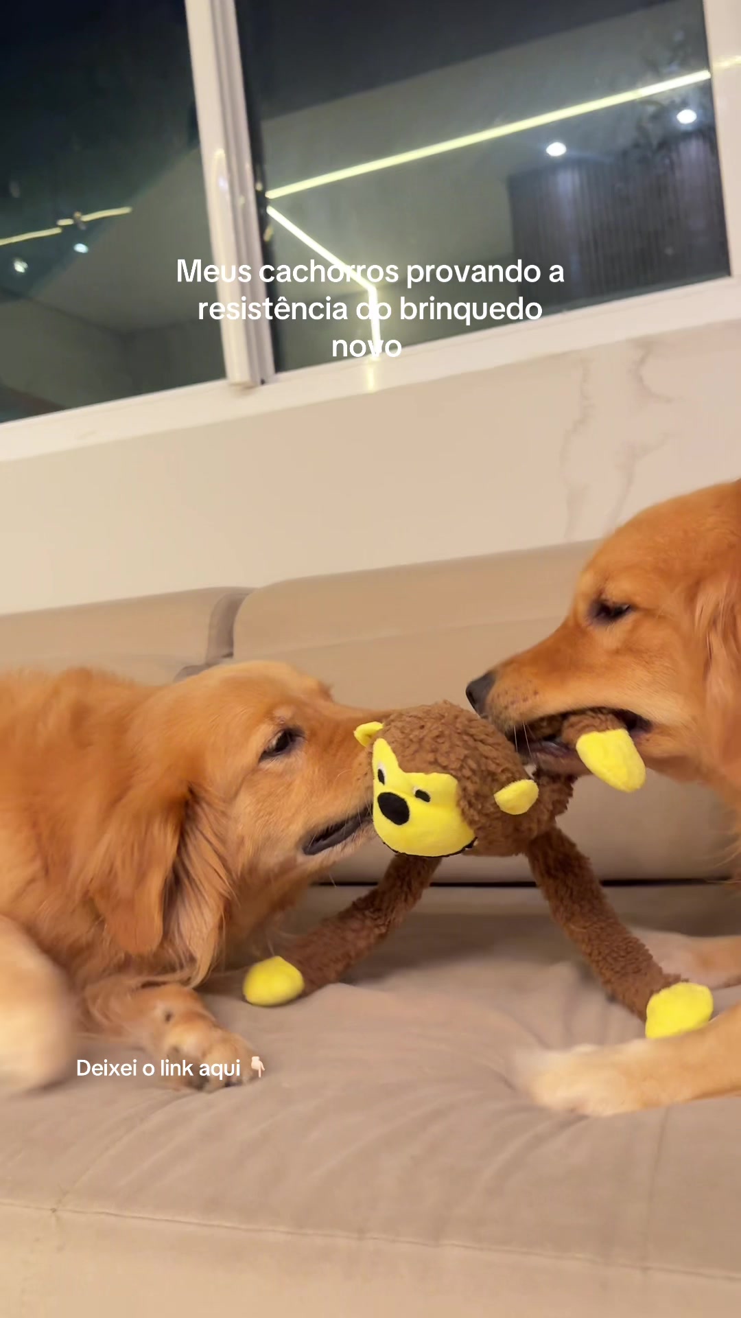 @luizalimamed