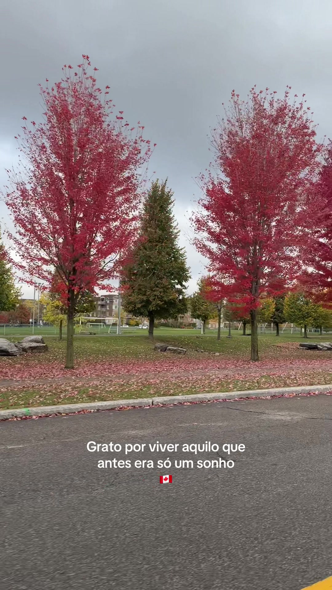 @Mais Pro Norte 🇨🇦