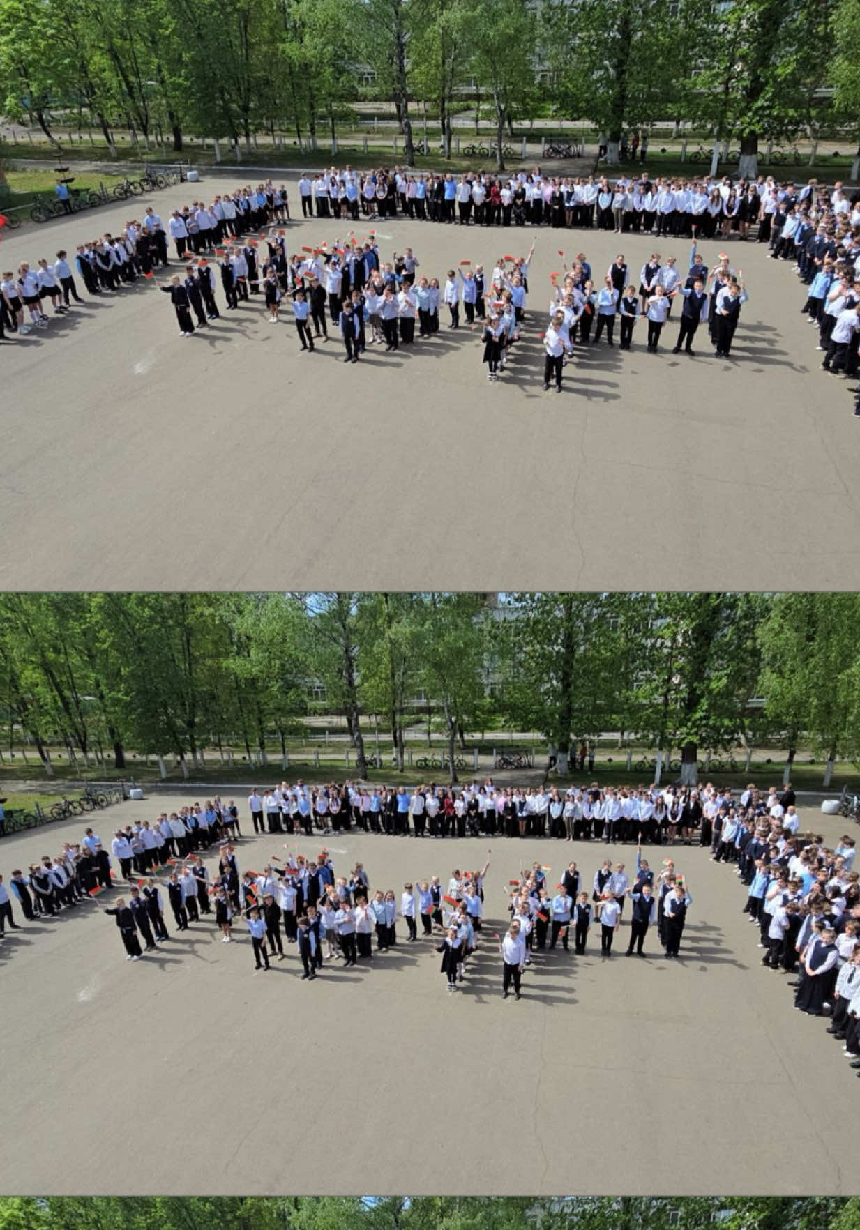 @school_8_bobr