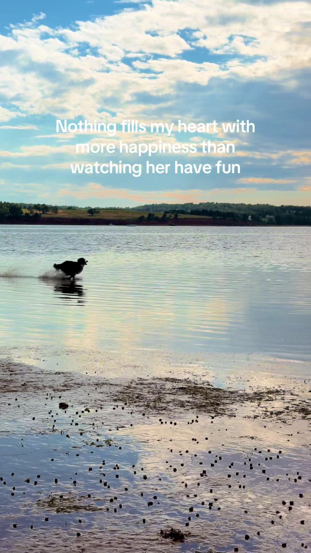 @ashleyardor