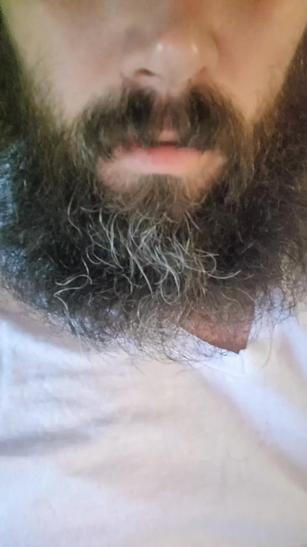 @ARCYEL