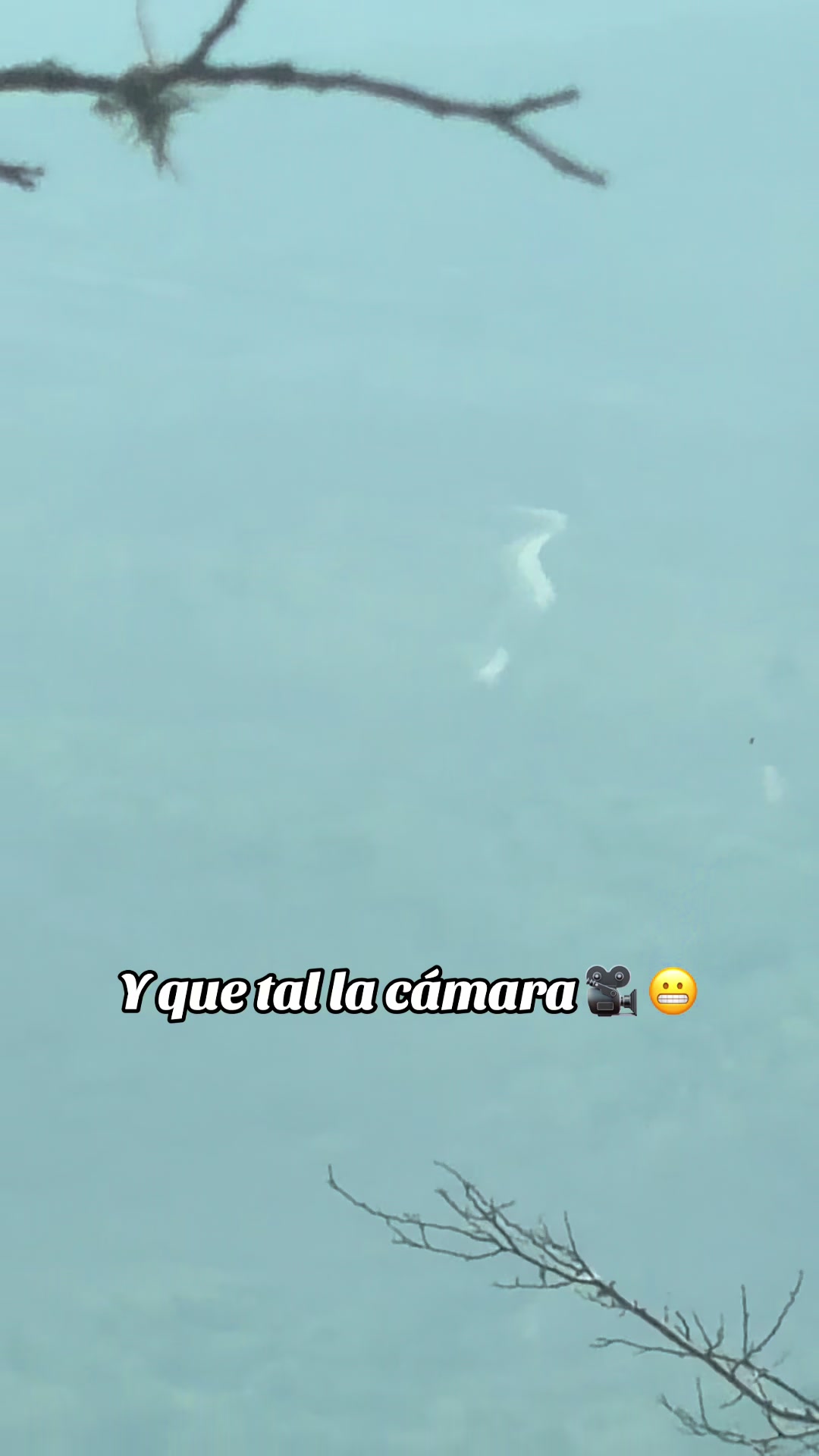 @Manuel