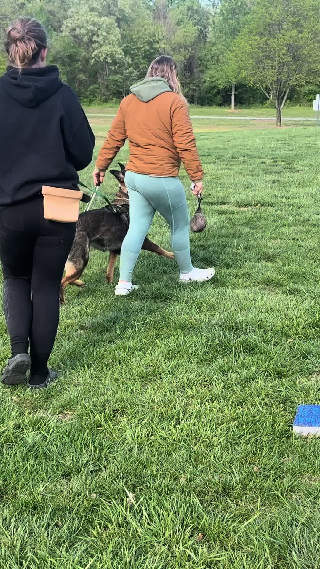 @Dog Trainer Charlotte