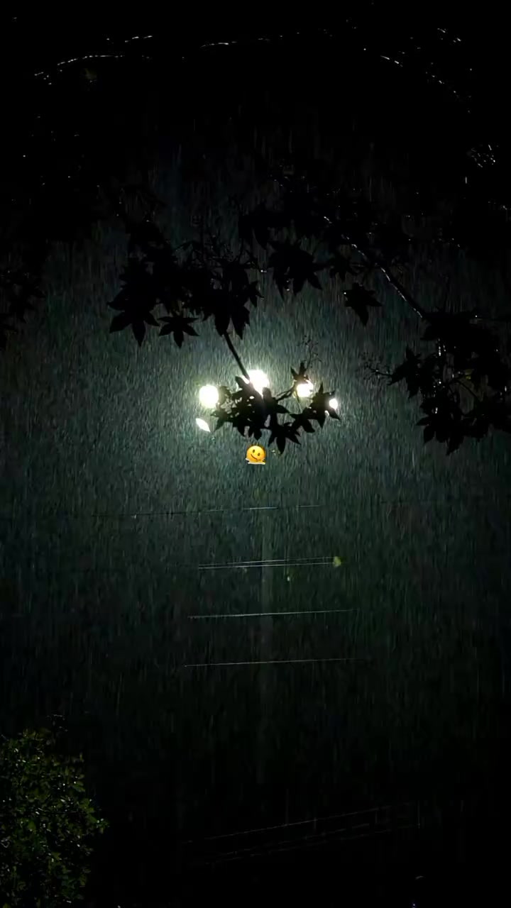 @𝗔𝗺𝗺𝗮𝙡_𝙚𝙙𝙞𝙩𝙯🦢