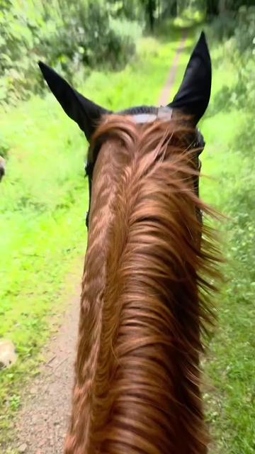 @Ride & Rescue