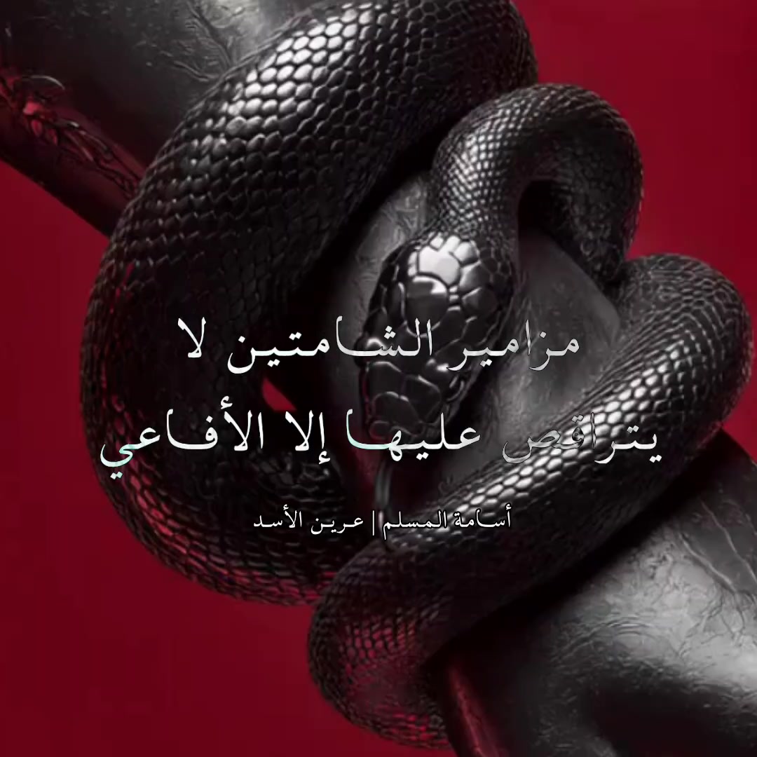 @وهج الغرانيق 🪻💜