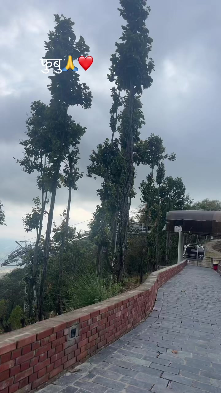 @NBKA मगर🤟…..