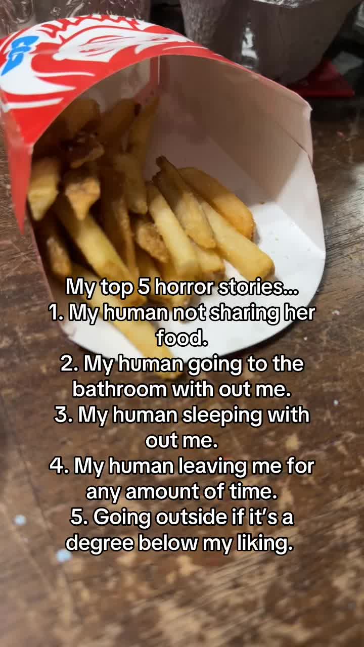 @chronicallybrittbrat