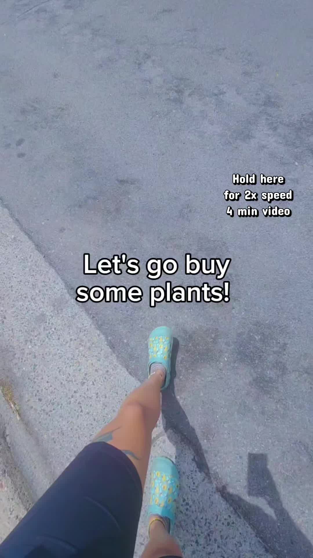 @Alicia ✨️🌱🐛