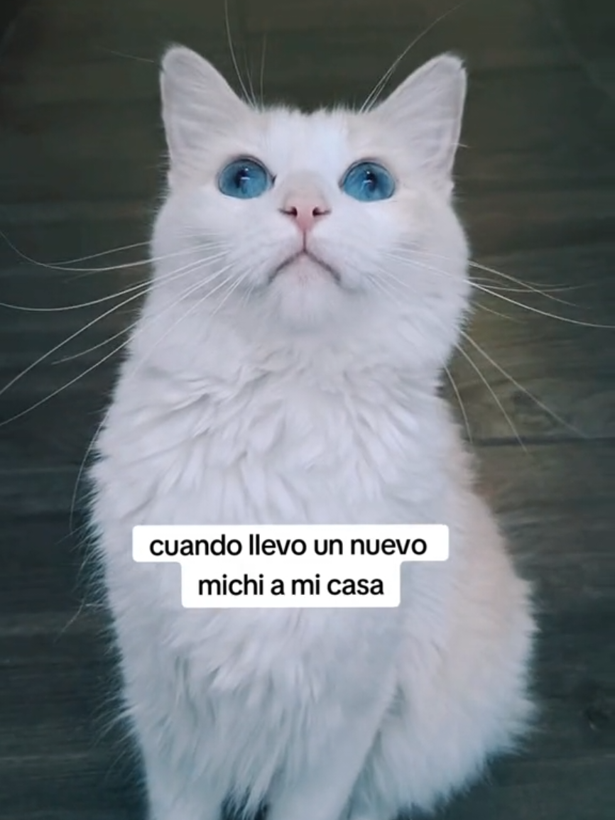 @Karen Macho