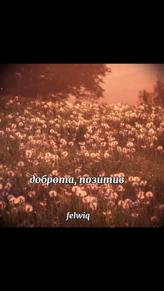 @имашургс🍐