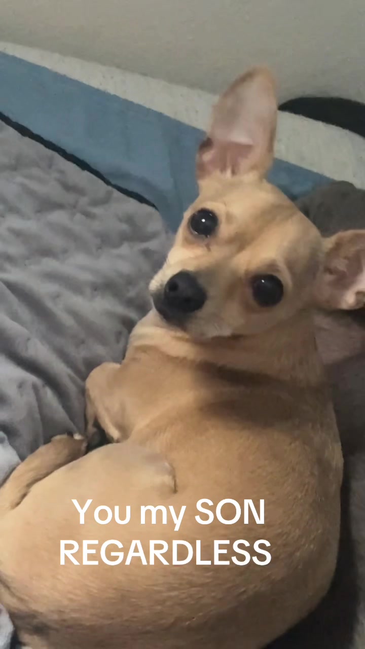 @Tai