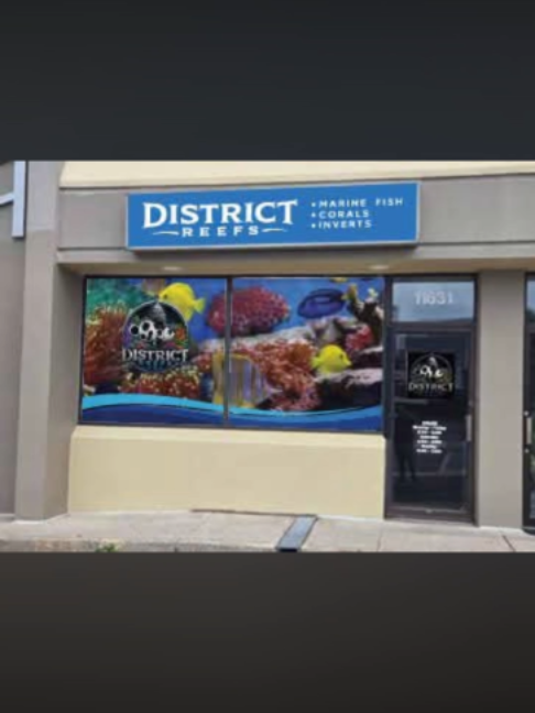 @Mike's Reef Tank