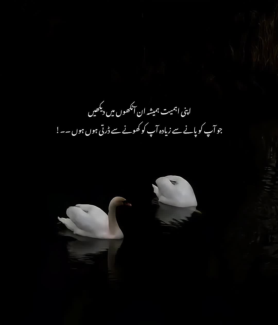 @ᥫ᭡𝐈𝐒𝐇𝐔⏤͟͟͞͞🦢🌷