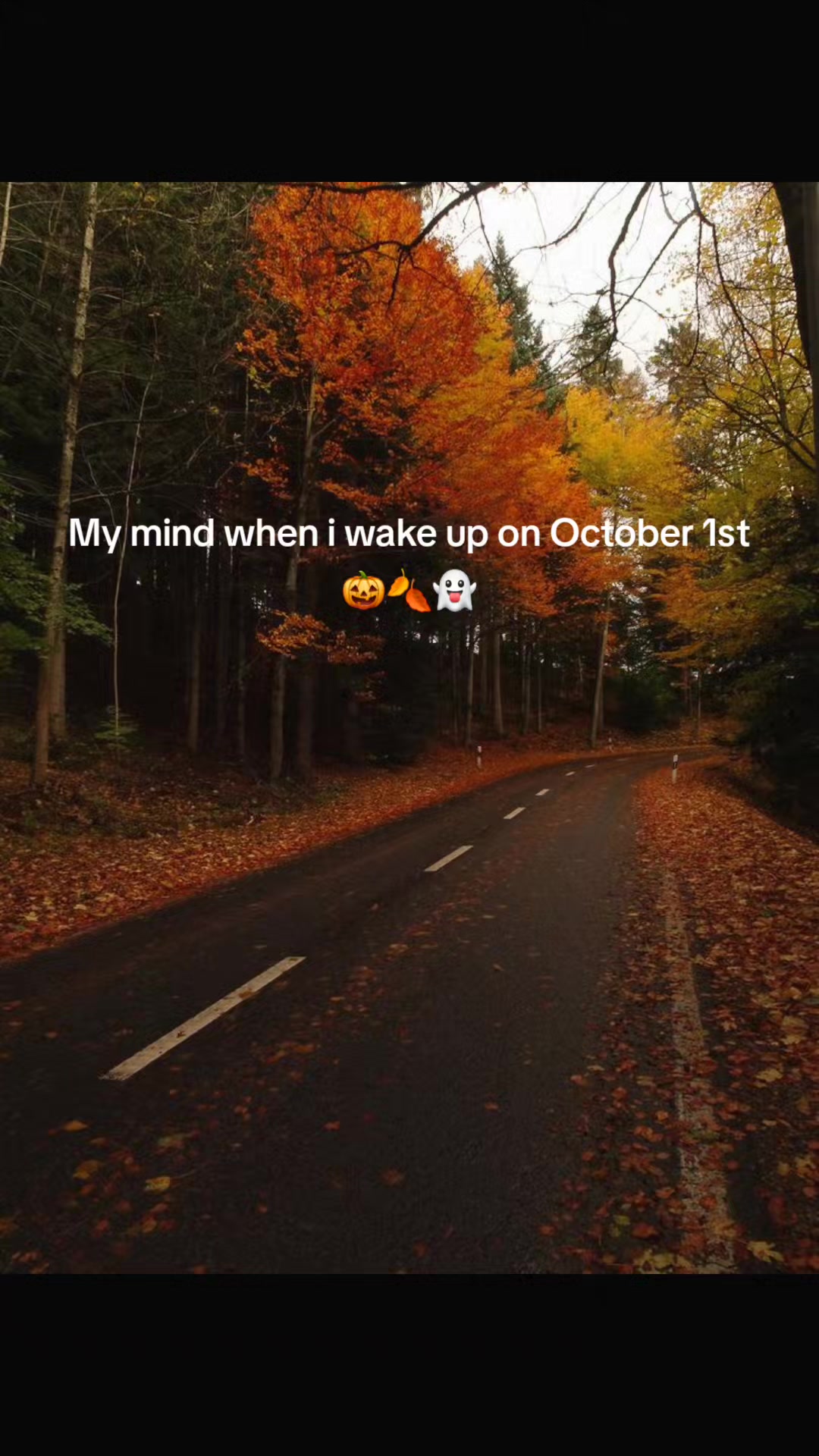 @FrightToFestive