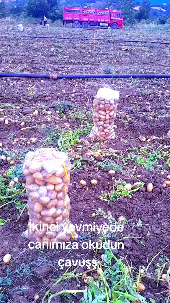 @❤️Emin ❤️ Ayşe Ilık ❤️