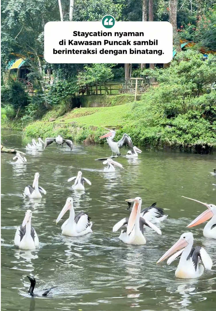 @TEMEN HANGOUT