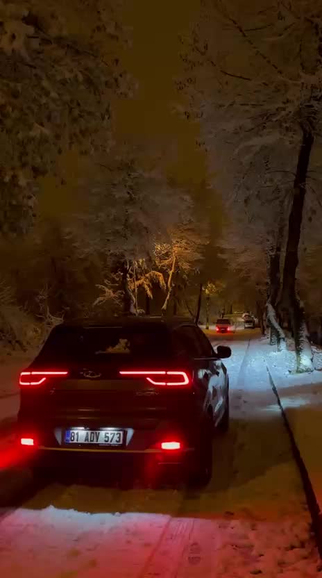 @Erdem Demir