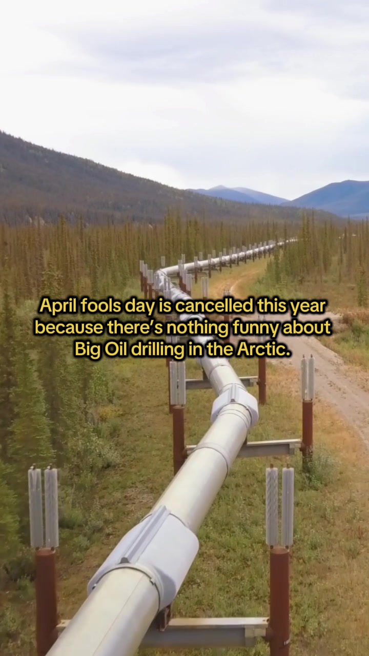 @Alaska Wilderness League