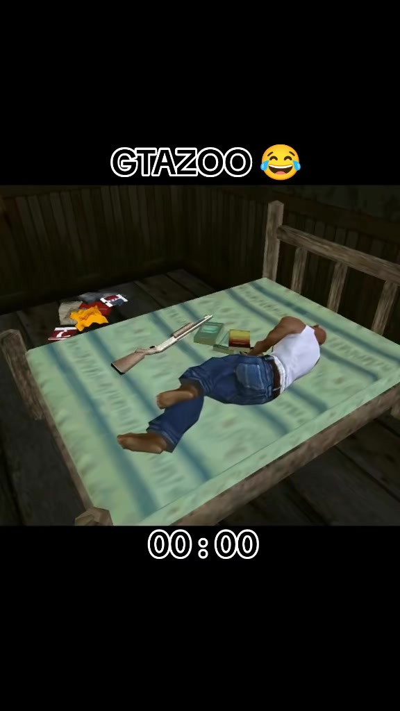 @GTA95 ZOO