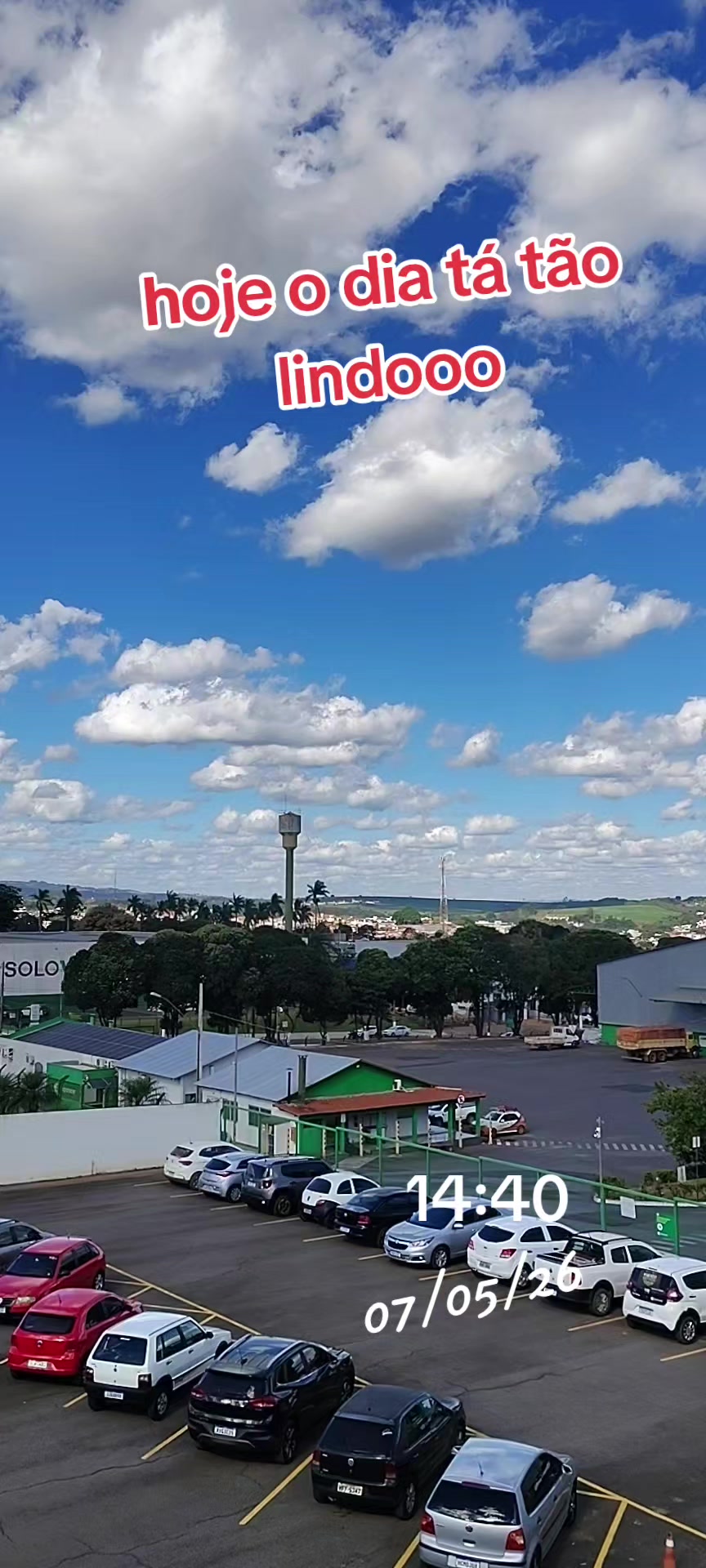 @aparecidamachado303