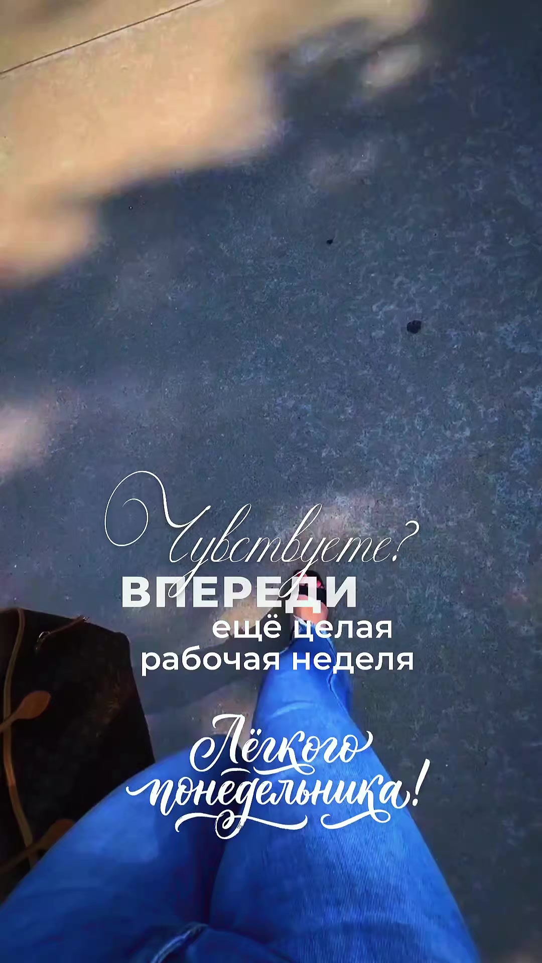 @༶•⛧┈♛🅺🅰🆃🆈🆂🅷🅺🅰♛┈⛧•༶
