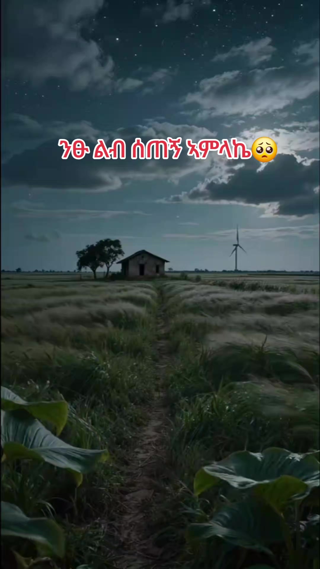 @✞︎ኮኮበይ🦋✞︎❦︎