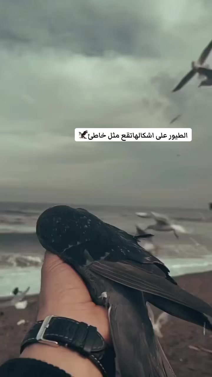 @رسماء _ مرحبلي ✍🏻 📷