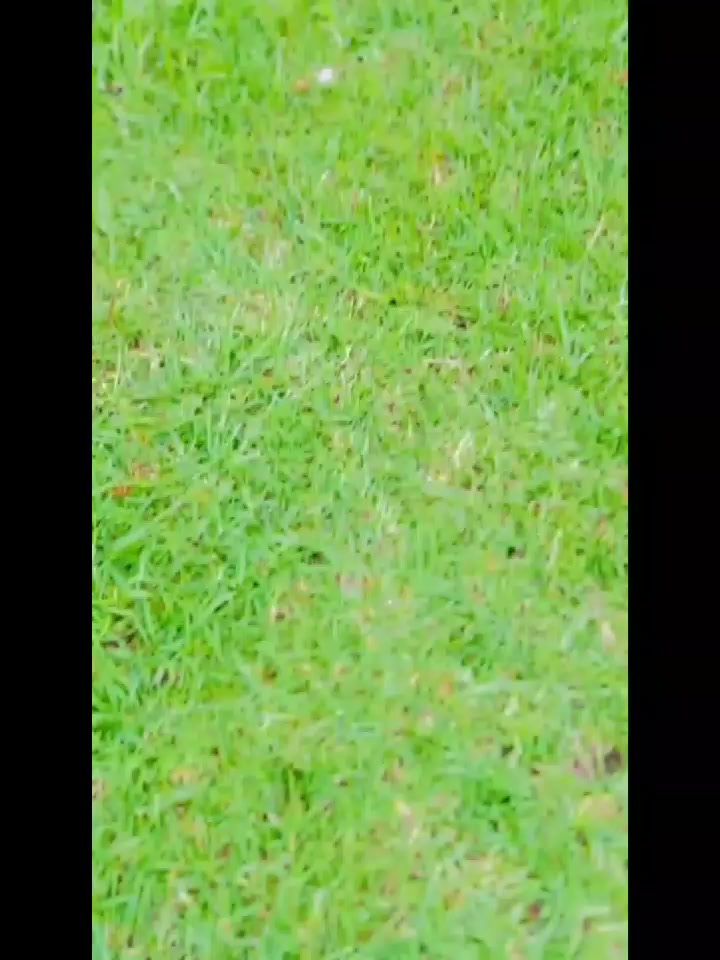 @Zizipho Zizi