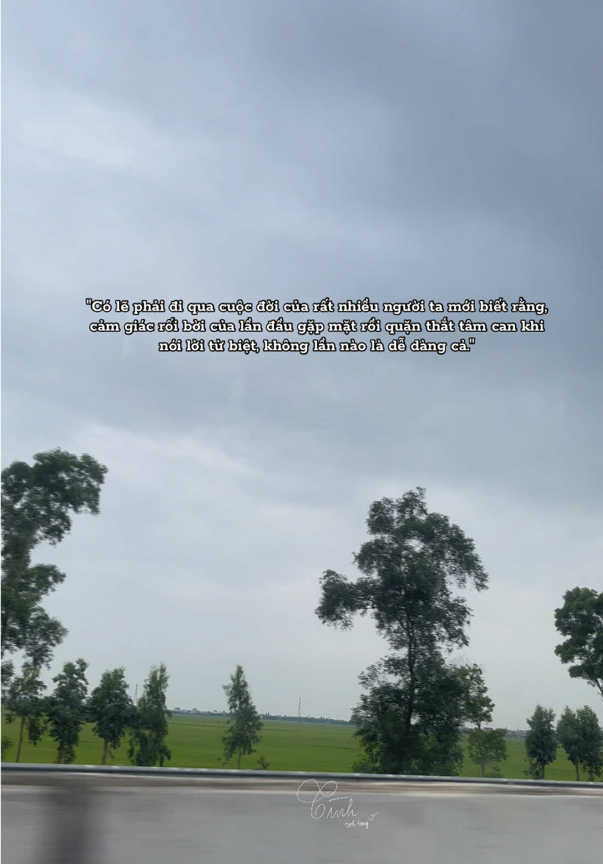@Reels của T&igrave;nh 🫧