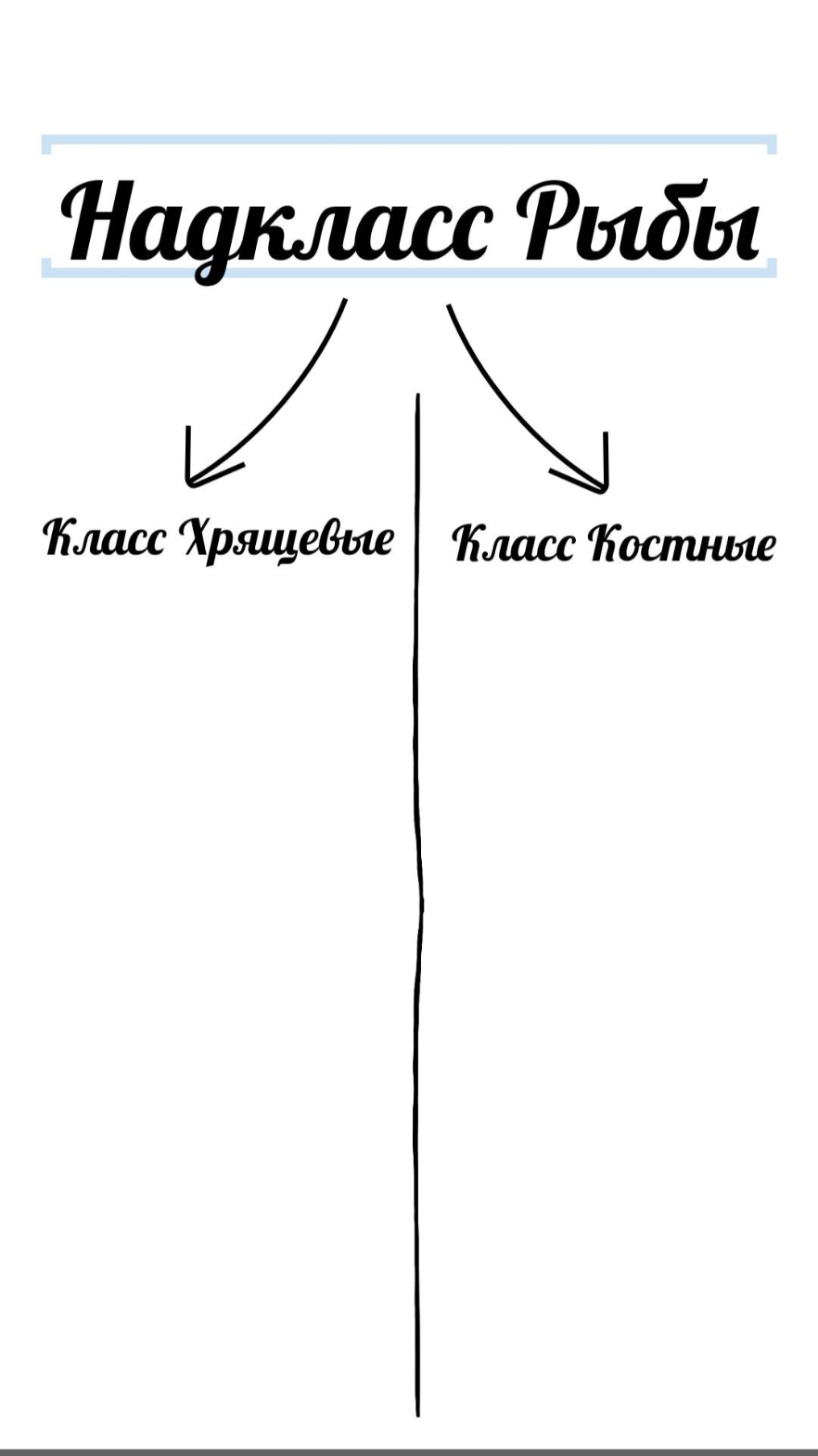 @Биология 🐢