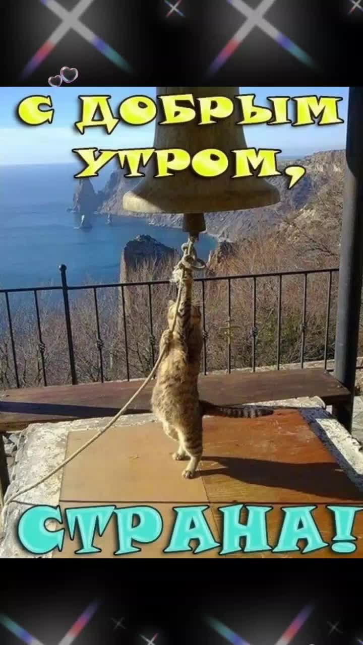 @Елена